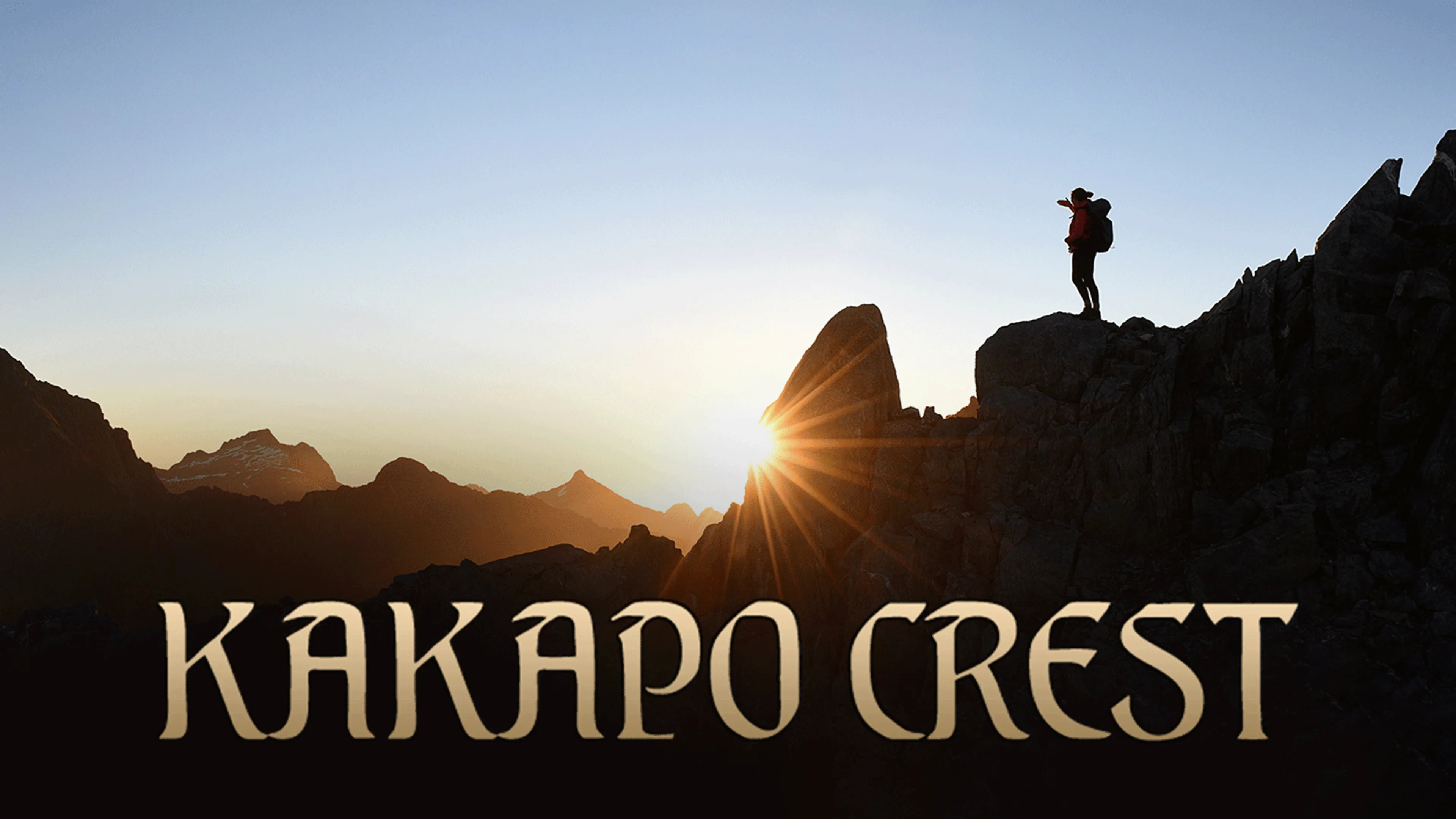 Kakapo Crest poster